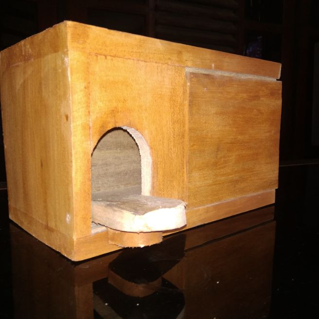 glodok burung lovebird kandang tempat bertelur sarang burung kicau glodok burung lovebird kandang tempat bertelur sarang burung kicau