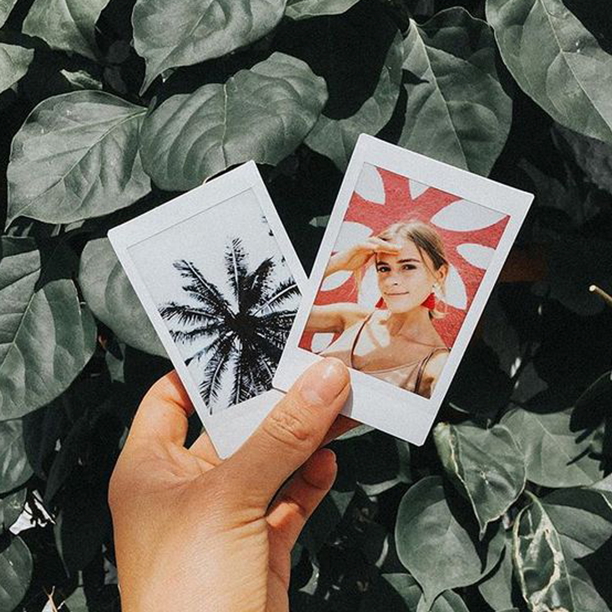 POLAROID GROSIR ISI 10 - 25 - 50 - 100 PCS PAKET CETAK FOTO POLAROID 2R MURAH DENGAN TINTA UV BERKUALITAS POLAROID GROSIR ISI 10 - 25 - 50 - 100 PCS PAKET CETAK FOTO POLAROID 2R MURAH DENGAN TINTA UV BERKUALITAS