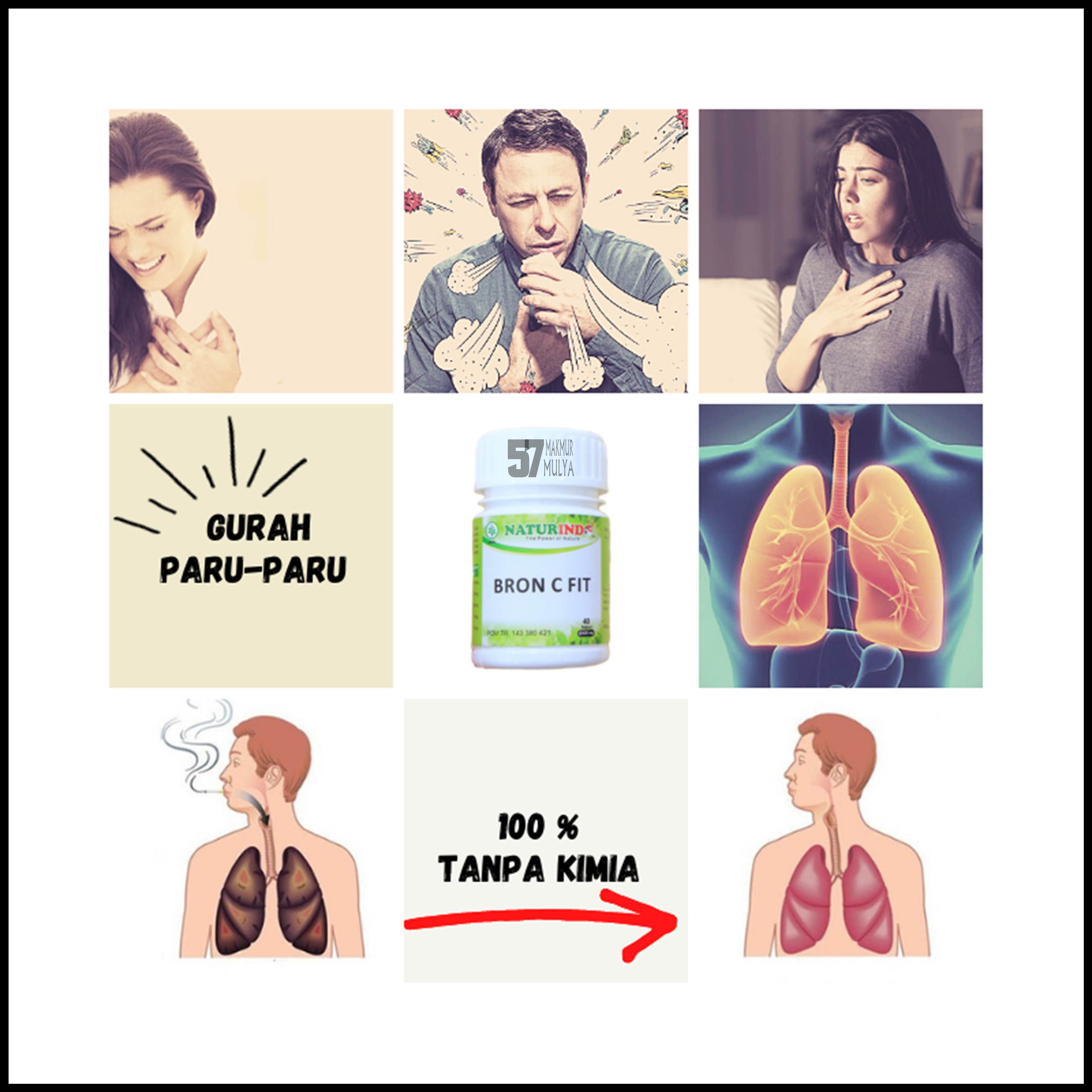 Obat Herbal Untuk Gurah Paru-Paru Sesak Nafas Perokok Berat sesak nafas obat asma rhinitis alergi hidung pernafasan dada sesak nafas berat nafas tersendat berhenti merokok netralkan nikotin menjadikan nafas lega asma menahun batuk menahun Obat Herbal Untuk Gurah Paru-Paru Sesak Nafas Perokok Berat sesak nafas obat asma rhinitis alergi hidung pernafasan dada sesak nafas berat nafas tersendat berhenti merokok netralkan nikotin menjadikan nafas lega asma menahun batuk menahun
