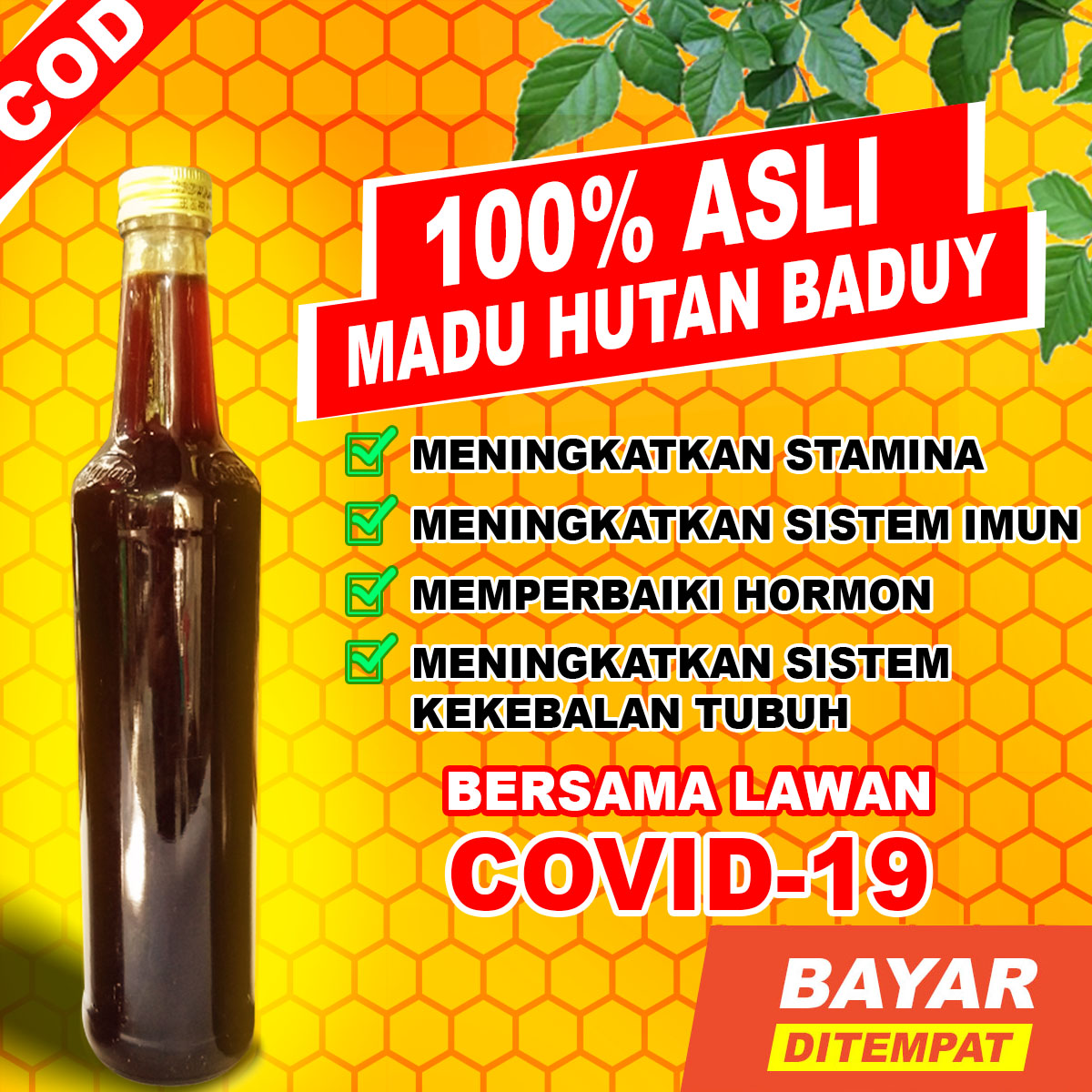 Madu Hutan Asli - Madu Manis Khas Suku Baduy - Madu Odeng Murni 100% Madu Hutan Asli - Madu Manis Khas Suku Baduy - Madu Odeng Murni 100%