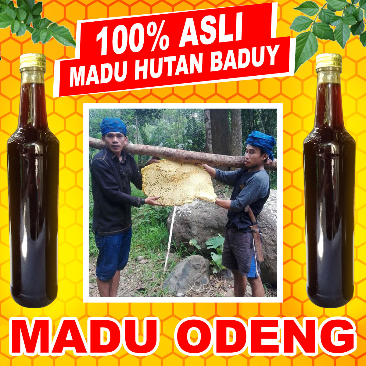 Madu Murni Liar Hutan Baduy - Madu Asli 100% - Madu Odeng Baduy Manis Madu Murni Liar Hutan Baduy - Madu Asli 100% - Madu Odeng Baduy Manis