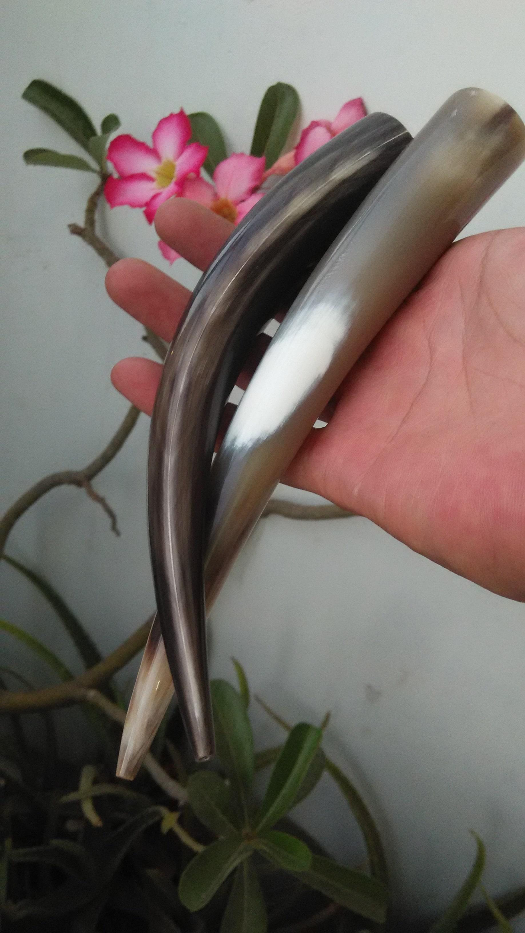 PIPA )NCE TANDUK SAPI PART 3 LUBANG MULTI PIPA )NCE TANDUK SAPI PART 3 LUBANG MULTI