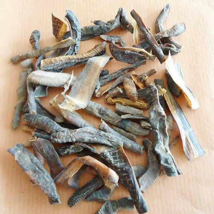 CACING TANAH KERING ASLI obat tipes - demam - infeksi usus herbal manjur CACING TANAH KERING ASLI obat tipes - demam - infeksi usus herbal manjur