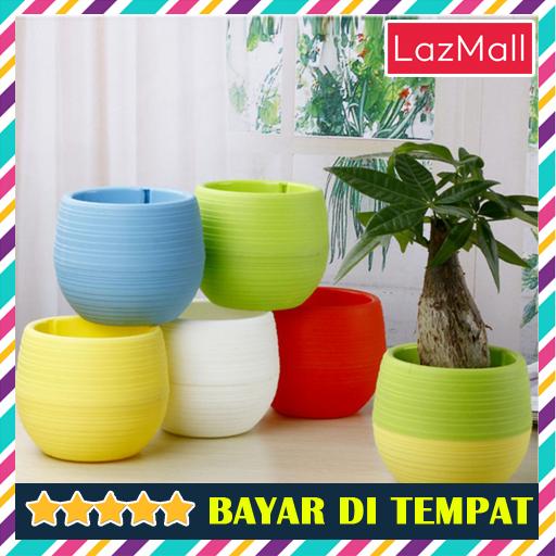 5 Pcs Mini Pot Bunga Hias Kaktus Tanaman Vintage Lucu - Pot Bunga Multi Warna - Pot Bunga Tanaman Plastik Murah - Pot Bunga Unik Dekorasi (Tidak termasuk tanaman) 5 Pcs Mini Pot Bunga Hias Kaktus Tanaman Vintage Lucu - Pot Bunga Multi Warna - Pot Bunga Tanaman Plastik Murah - Pot Bunga Unik Dekorasi (Tidak termasuk tanaman)