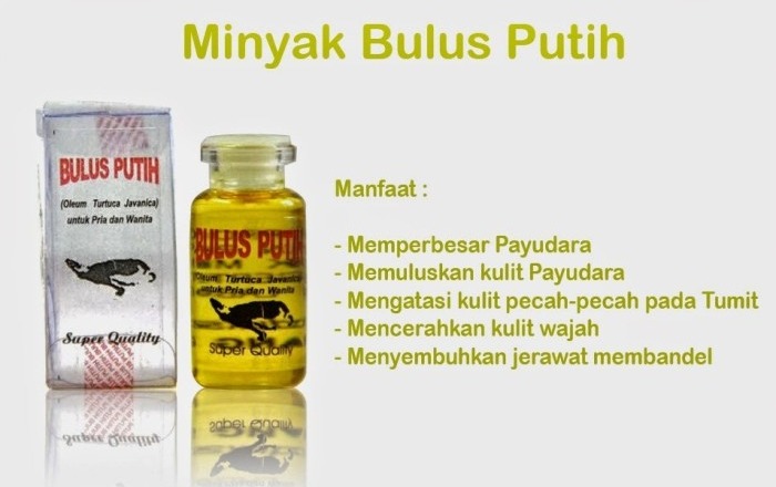 ORIGINAL Minyak Bulus Putih - Pembesar Pengencang Payudara / kosmetik murah / obat herbal ORIGINAL Minyak Bulus Putih - Pembesar Pengencang Payudara / kosmetik murah / obat herbal