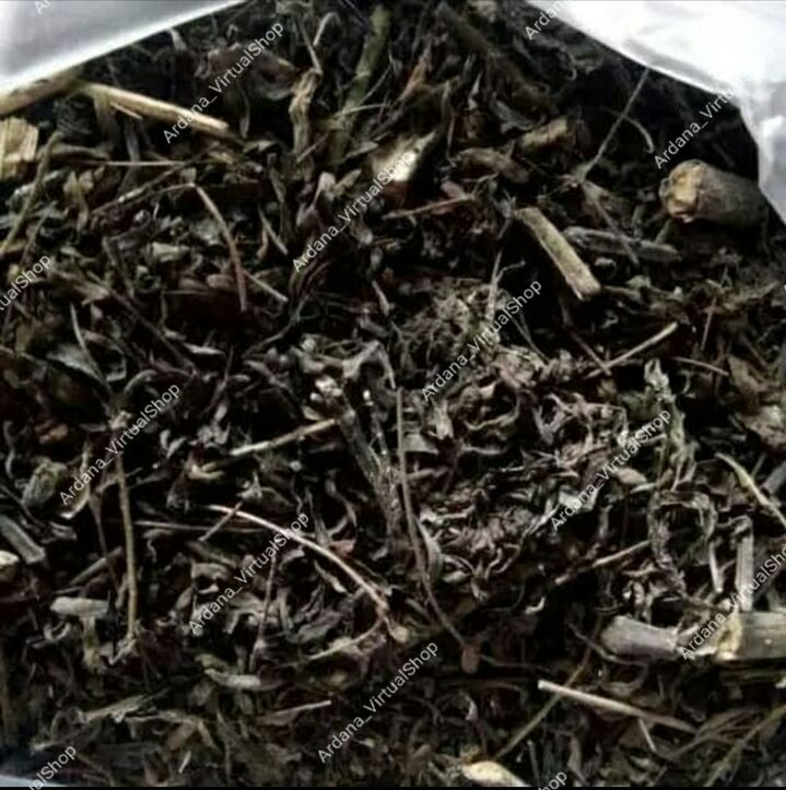 Kaliandra Media Tanam Anggrek Kaliandra Media Tanam Anggrek