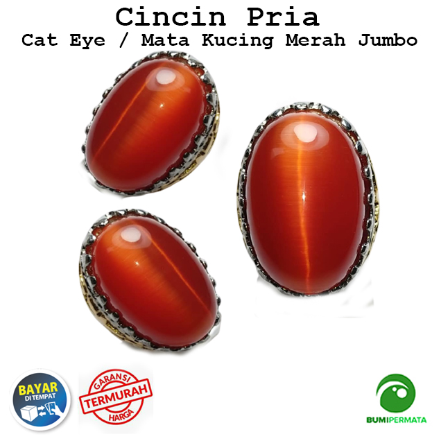 Cincin Batu Akik Mata Kucing Merah Size Jumbo Cincin Batu Akik Mata Kucing Merah Size Jumbo