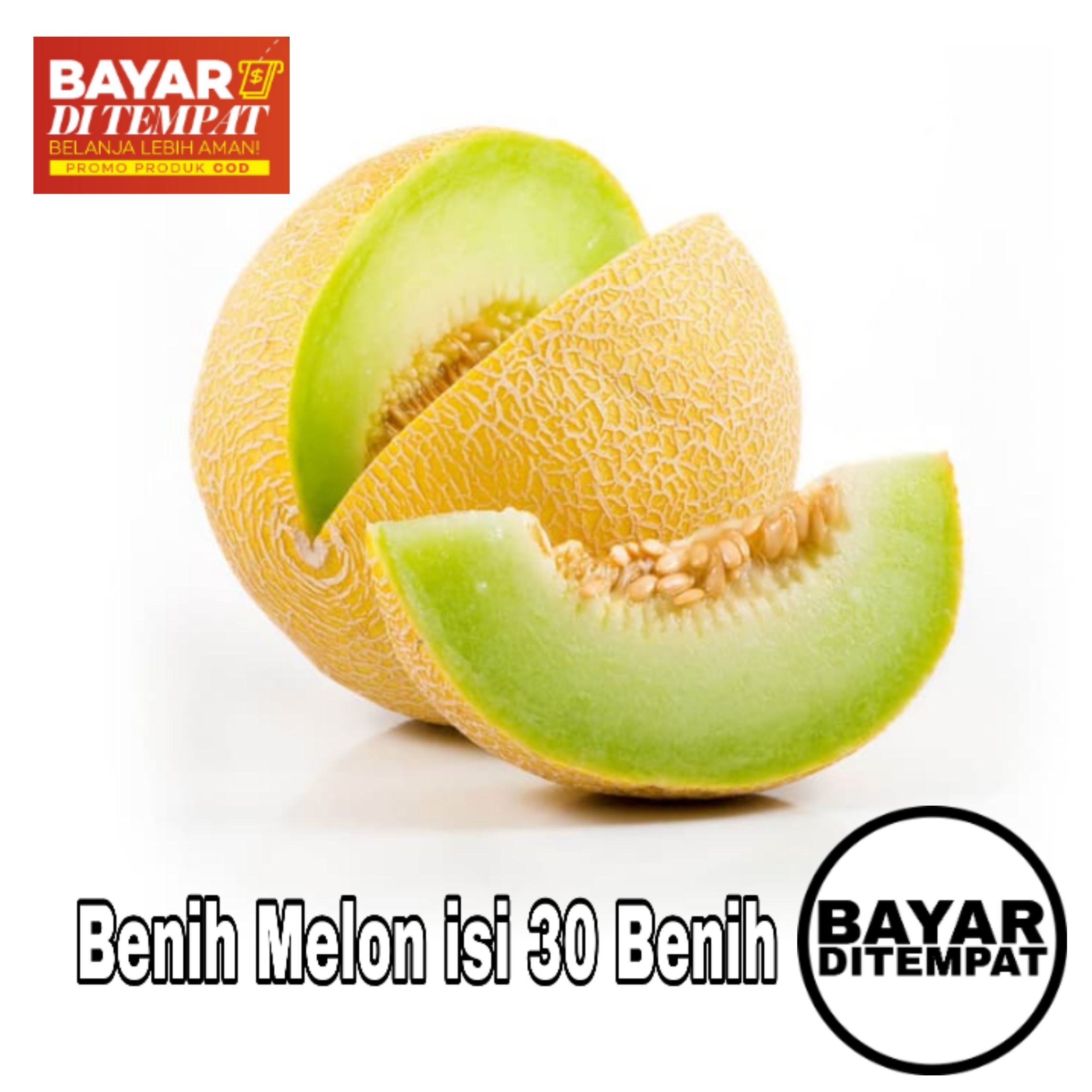 BIBIT MELON ISI 30 BENIH BIBIT MELON ISI 30 BENIH
