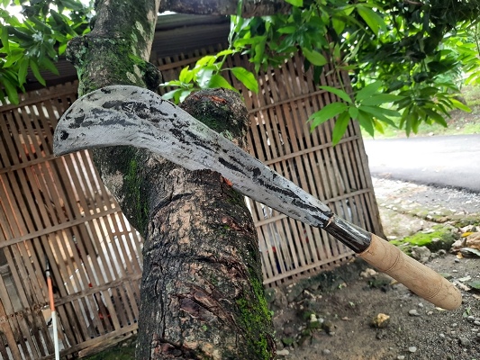 Golok Tebang Kayu Pohon Besar Bendo Arit Buat Pembelah Bambu Alat Tebang Kayu Sengon Jati Hutan Alat Pemotong Kayu Beringin Mangga Sawit Golok Tebang Kayu Pohon Besar Bendo Arit Buat Pembelah Bambu Alat Tebang Kayu Sengon Jati Hutan Alat Pemotong Kayu Beringin Mangga Sawit