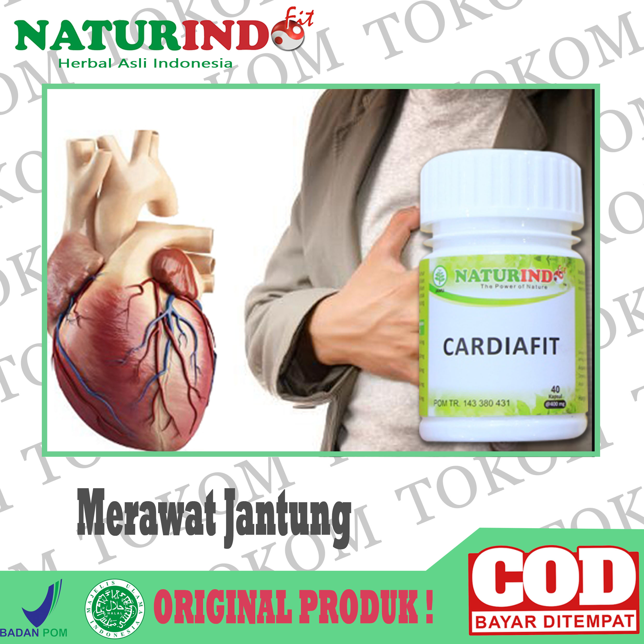 Obat jantung - obat sulit tidur - obat dada berdebar - obat keringat berlebih - obat kembung - obat perut kembung - obat nyeri dada - obat mudah capek - obat lemah jantung - obat jantung lemah - obat sakit jantung - obat herbal cardiafit - herbal nature Obat jantung - obat sulit tidur - obat dada berdebar - obat keringat berlebih - obat kembung - obat perut kembung - obat nyeri dada - obat mudah capek - obat lemah jantung - obat jantung lemah - obat sakit jantung - obat herbal cardiafit - herbal nature