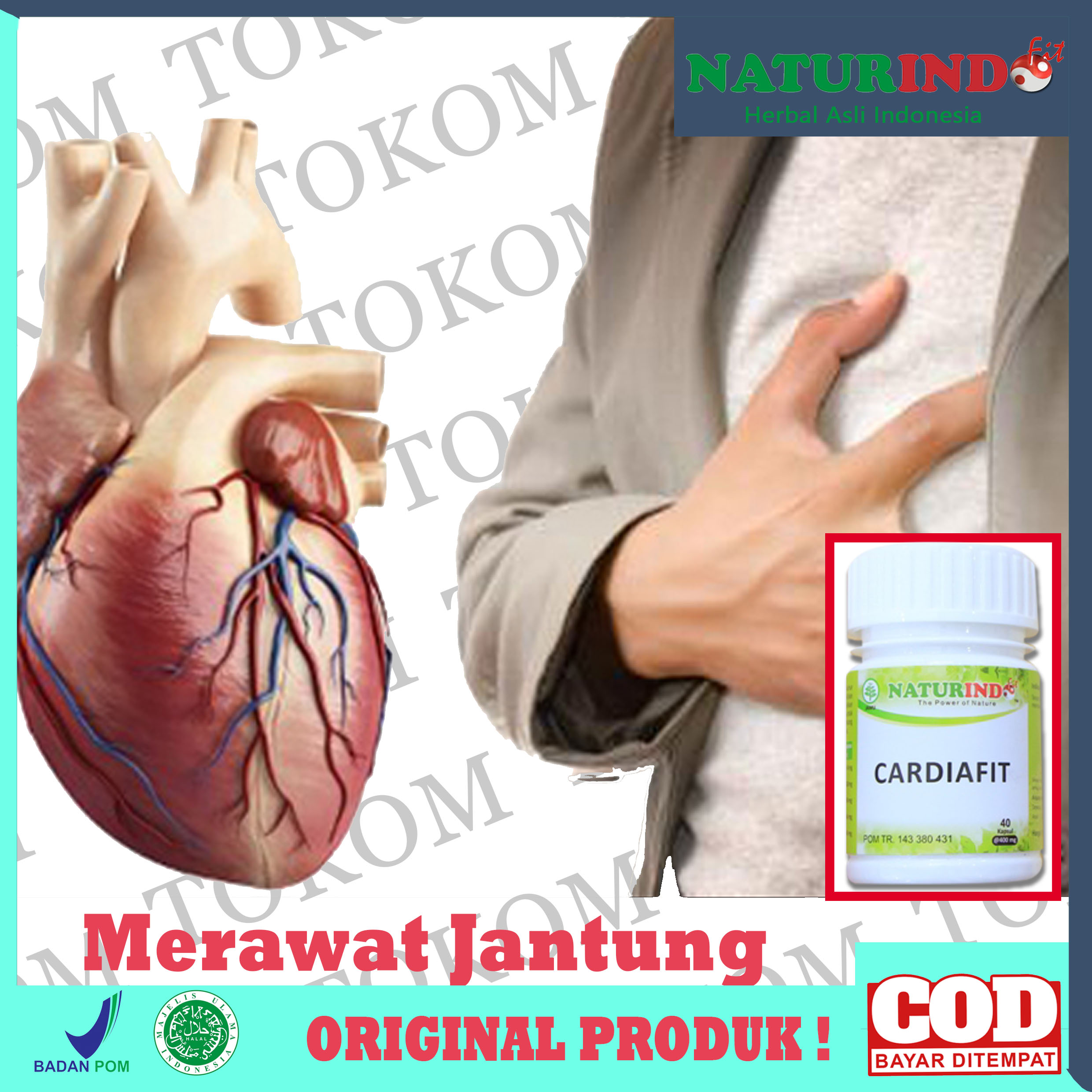 OBAT HERBAL JANTUNG - OBAT LEMAH JANTUNG - OBAT JANTUNG BENGKAK - OBAT JANTUNG BERDEBAR - OBAT JANTUNG KORONER - OBAT SESAK NAFAS - OBAT NAFAS PENDEK - OBAT MUDAH CAPEK - OBAT CEMAS PANIK AKIBAT JANTUNG TIDAK NORMAL - OBAT MELANCARKAN DARAH JANTUNG OBAT HERBAL JANTUNG - OBAT LEMAH JANTUNG - OBAT JANTUNG BENGKAK - OBAT JANTUNG BERDEBAR - OBAT JANTUNG KORONER - OBAT SESAK NAFAS - OBAT NAFAS PENDEK - OBAT MUDAH CAPEK - OBAT CEMAS PANIK AKIBAT JANTUNG TIDAK NORMAL - OBAT MELANCARKAN DARAH JANTUNG