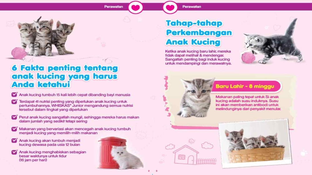 Whiskas Pouch Junior Kitten Tuna – 85gr (12 Pcs)