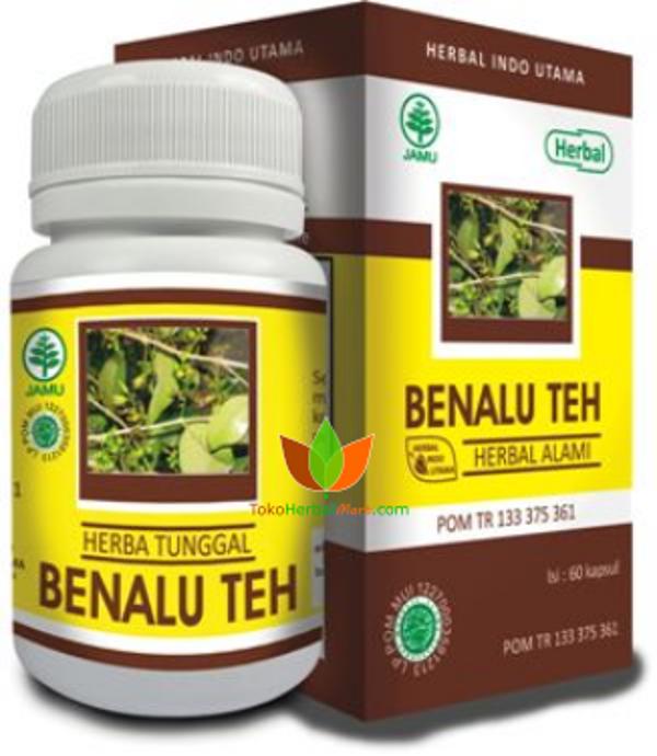 KAPSUL BENALU TEH HERBAL INDO UTAMA OBAT KANKER KISTA