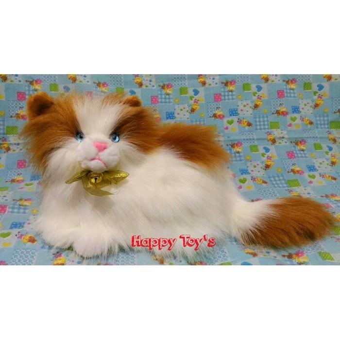 Boneka Kucing Anggora Lucu - Zwdbqm