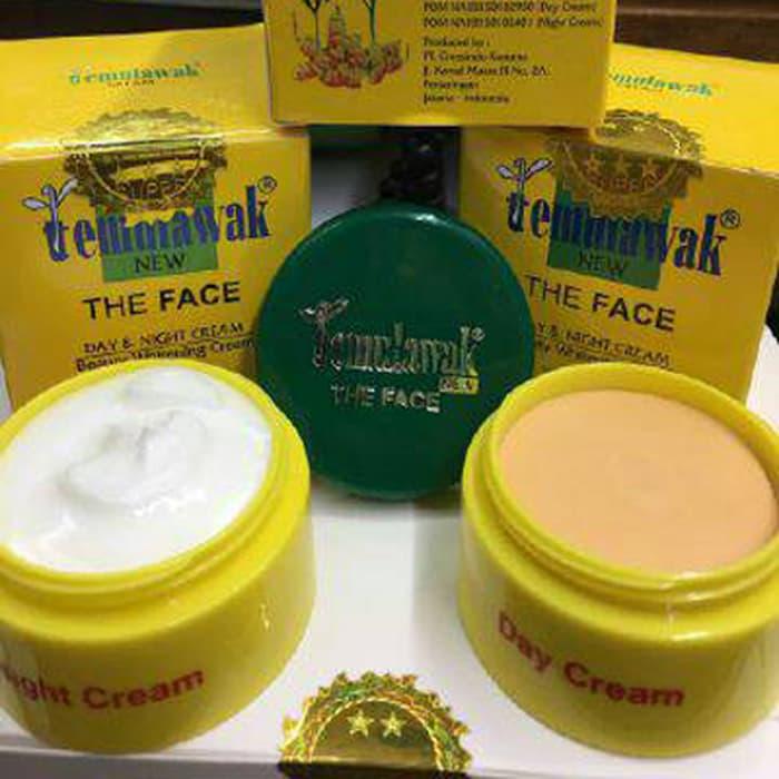 Cream Temulawak The Face Original BPOM Day Cream + Night Cream Januari 2019 - 3 Cream Temulawak The Face Original BPOM Day Cream + Night Cream - 3