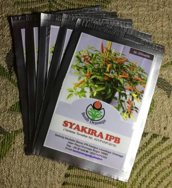 SPESIAL Benih Bibit Cabe SYAKIRA IPB- Cabai Hias Tiga Warna TERLARI