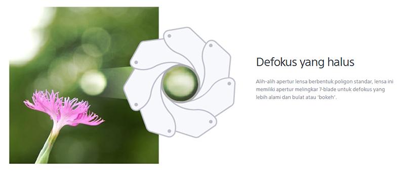 03 SPEC SONY E35mm.jpg