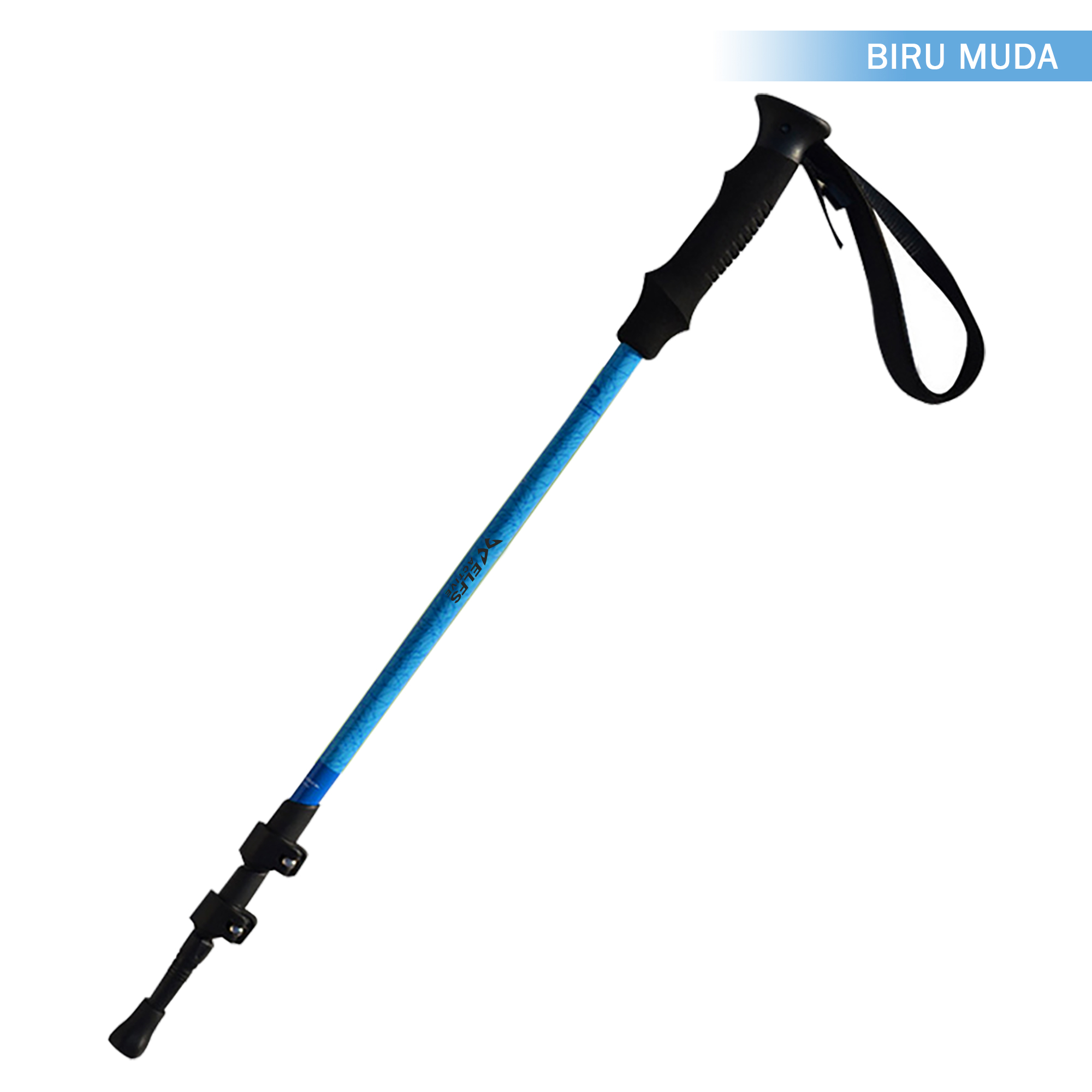 Media 19