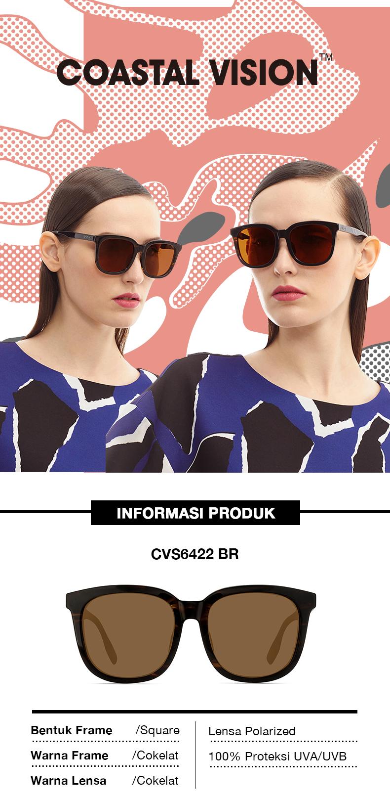 CVS6422-BR ID_01.jpg