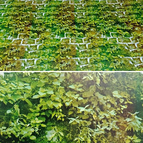 3000 Wallpaper Dinding Motif Daun Paling Baru 3000 Wallpaper Dinding Motif Daun Paling Baru