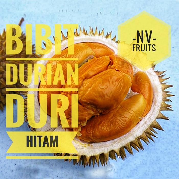 Harga Buah  Durian Bangkok Promo