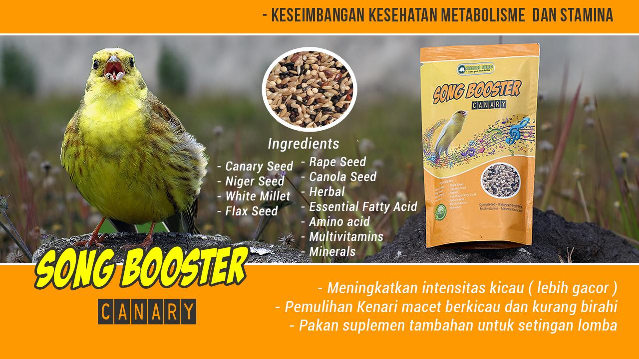 Gambar Pakan Kenari Niger Seed - Tentang Kolam Kandang Ternak