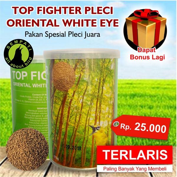 Top Fighter Pleci Oriental White Eye Sempati Pakan Lomba Burung Juara Berkicau Zosterops Gacor