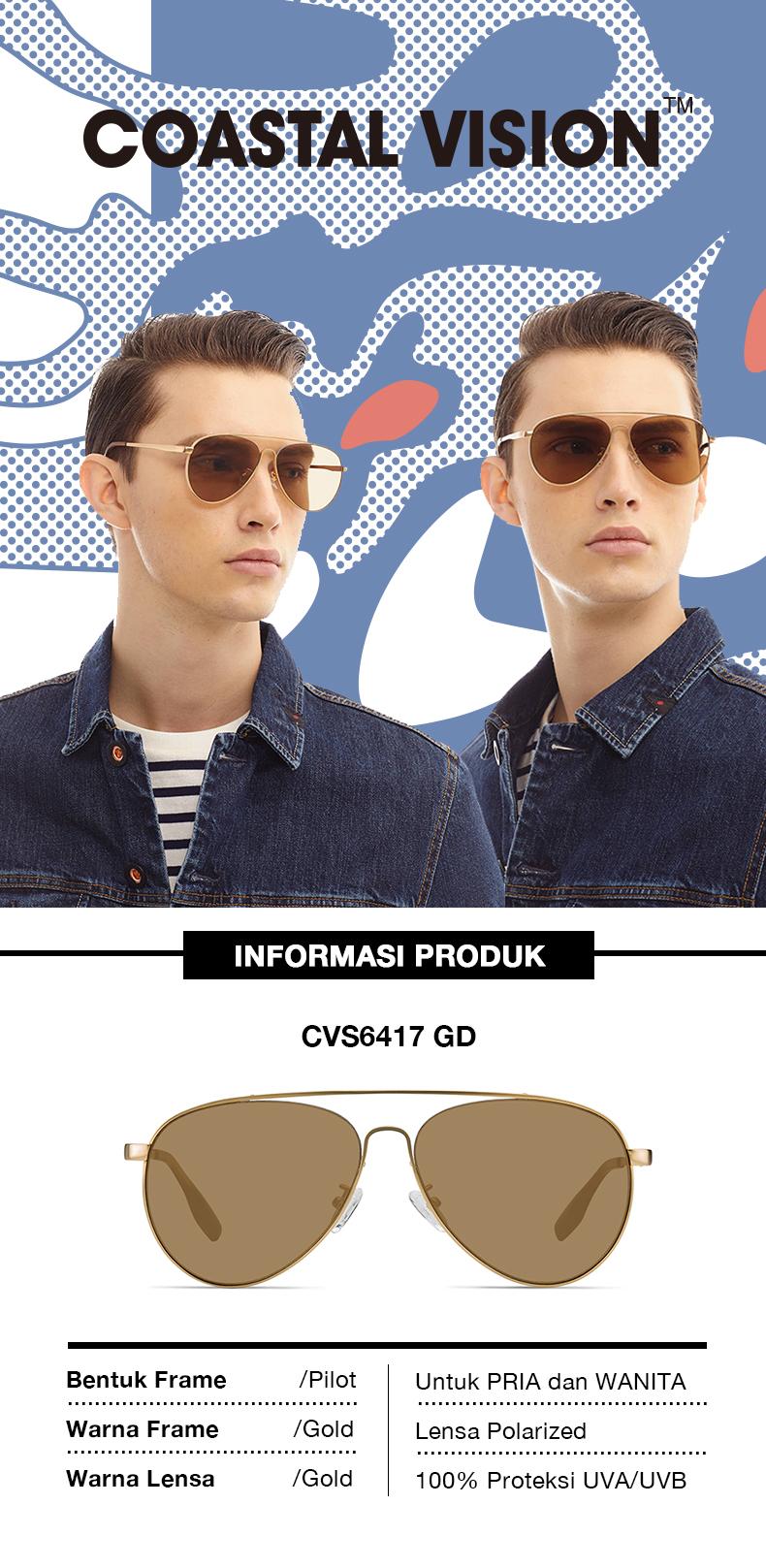 CVS6417-GD ID_01.jpg