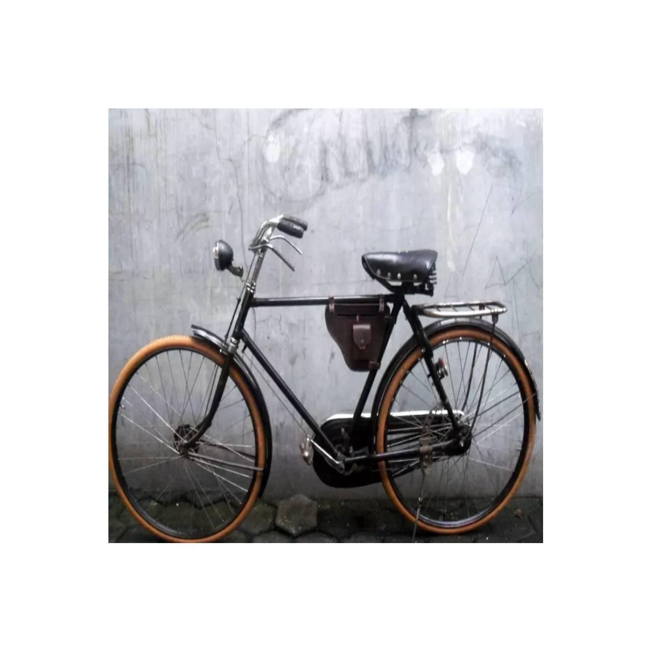 Harga Sepeda  Unta  Klasik Terkini Online