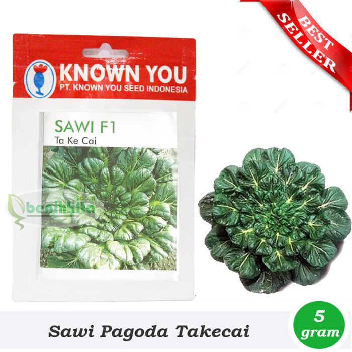 Benih/Bibit Sawi Pagoda Ta Ke Cai (Known You Seed)
