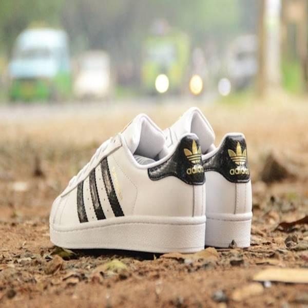 Koleksi List Harga Sepatu Adidas Original Superstar Terbaru Koleksi List Harga Sepatu Adidas Original Superstar Terbaru