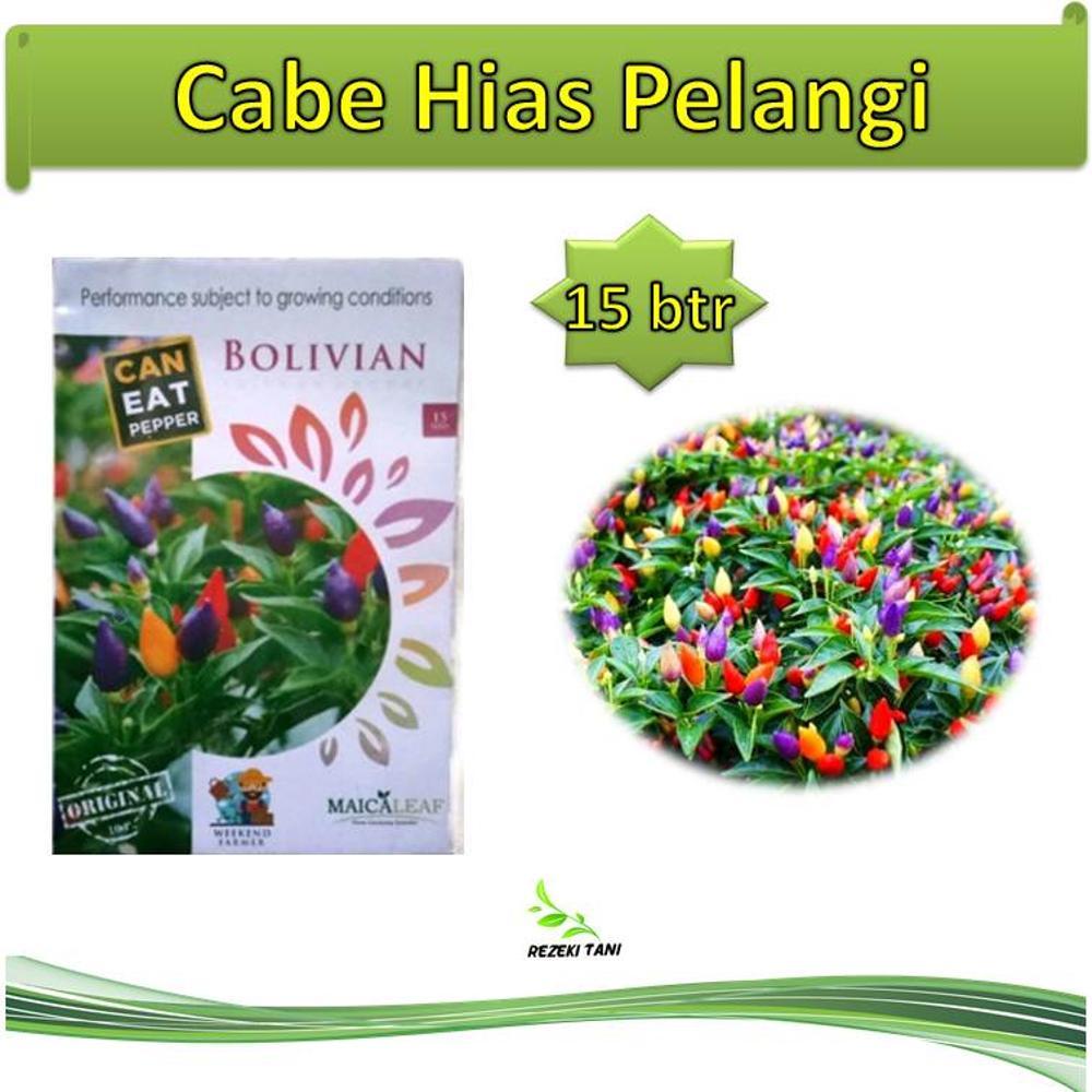 Benih Bibit Cabe Hias Pelangi Bolivian Rainbow 15 Biji