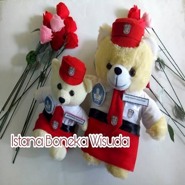 Boneka Wisuda Pontianak Boneka Grosir Sekolah Boneka Murah
