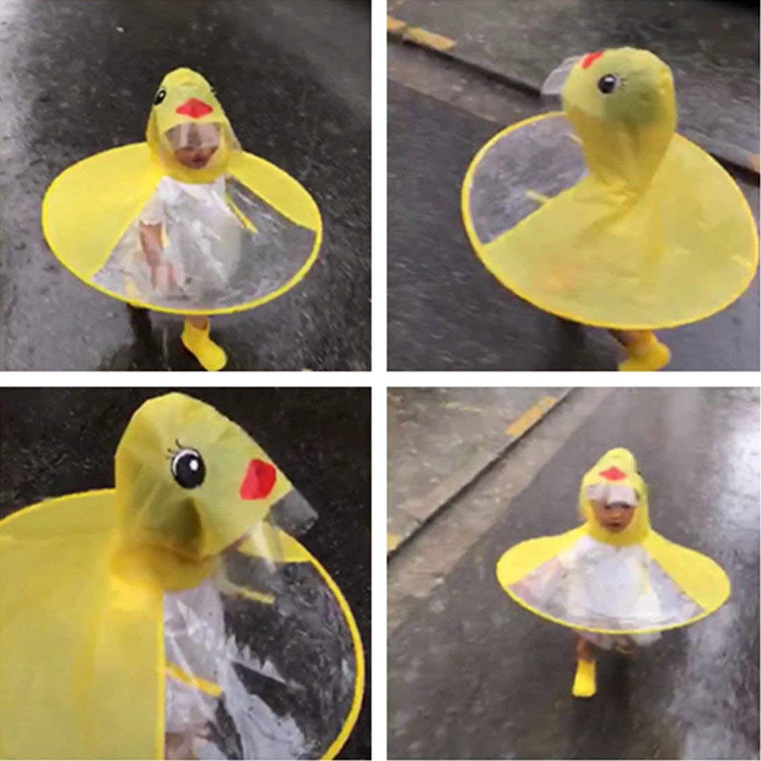 Gambar Bebek Kartun Lucu Gambar Lucu Status Wa Line