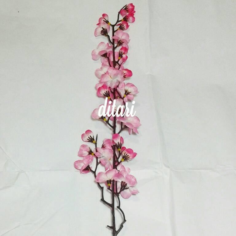 Gambar Bunga Sakura Dengan Pensil GAMBAR BUNGA