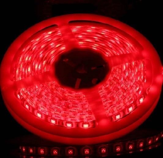 Flexible LED Strip Lights - 5050 SMD ( MATA GEDE ) 300LED IP30 RED