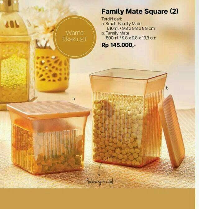 Tupperware Family Mate Square Wadah Toples Kecil dan Sedang