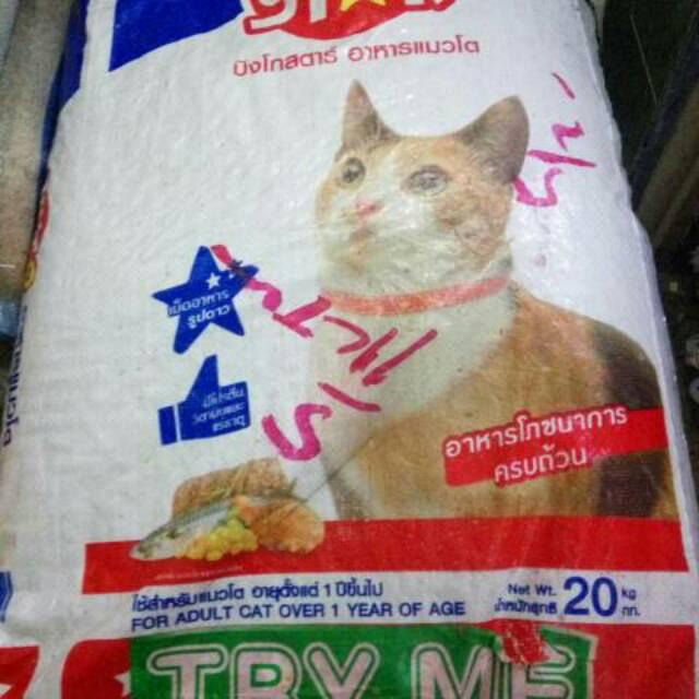 Makanan kucing Bingo cat anakan n kucing dewasa felibite maxi