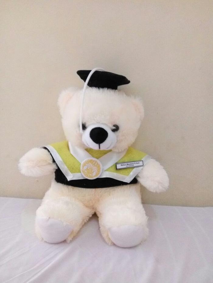 Boneka Wisuda Teddy Bear | Boneka Wisuda Doraemon | Depok, semarang