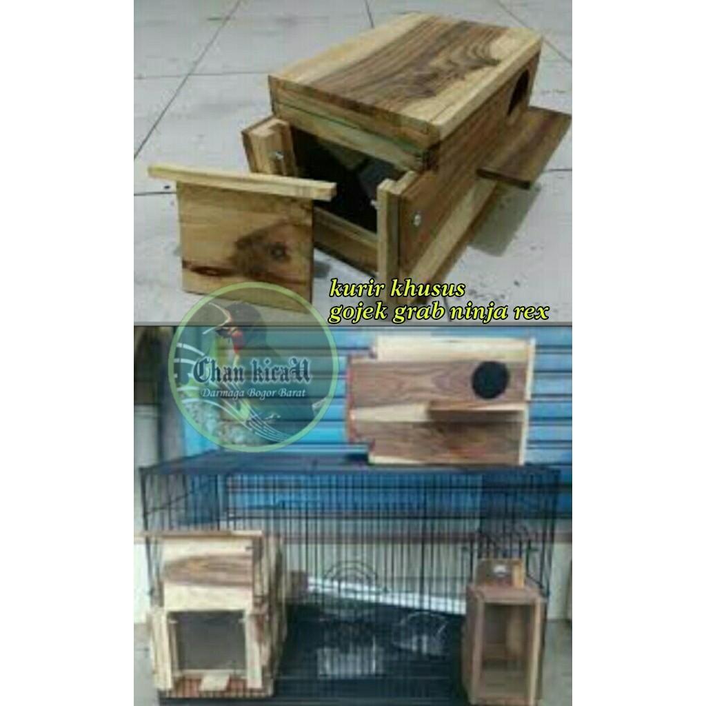 Glodok Kaca - Plkicb