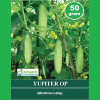 Benih Timun Mentimun Lalap Yupiter 50 Gram Cap Mutiara Bumi