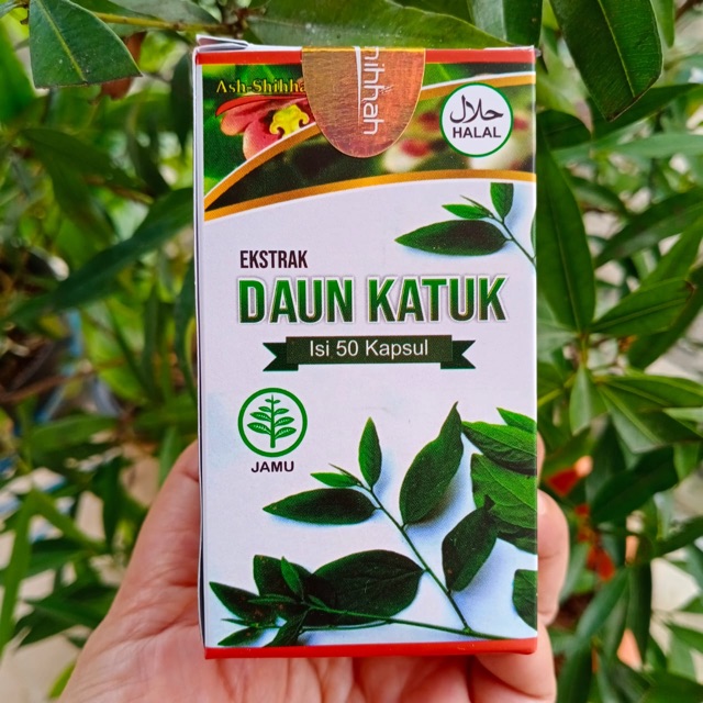Kapsul Daun Katuk Ash Shihhah Membantu Pelancar ASI 50 Kapsul HALBA STORE Obat Pelancar ASI