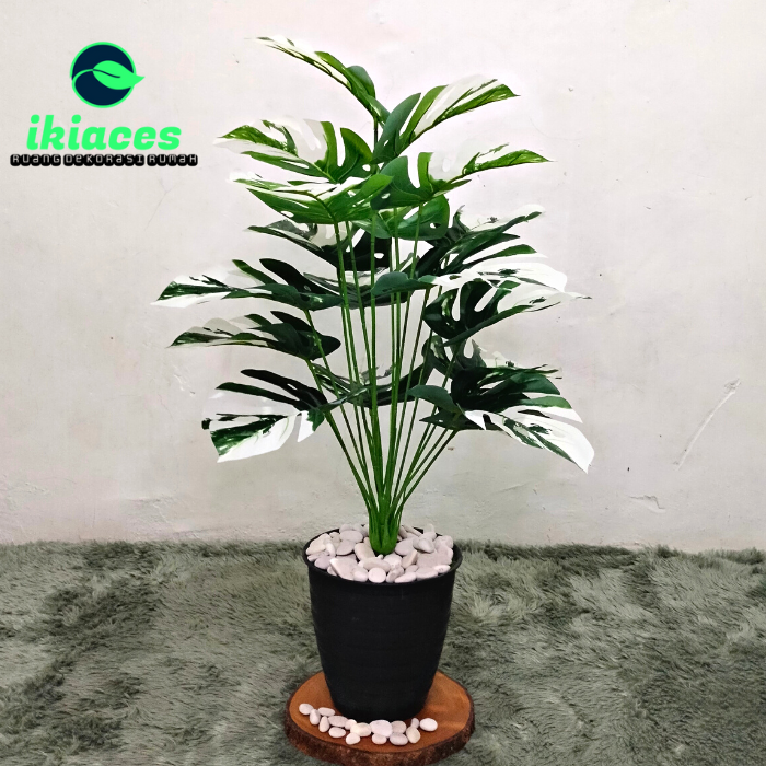 POHON MONSTERA JUMBO ARTIFICIAL DAUN MONSTERA PLASTIK POT MONSTERA JUMBO CORAK PUTIH DEKORASI TANAMAN PLASTIK