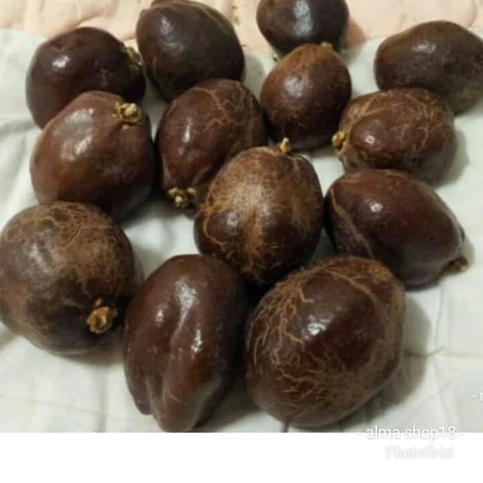Buah Zuriat Madinah Doum Coklat Tua Asli Promil 250 Gram