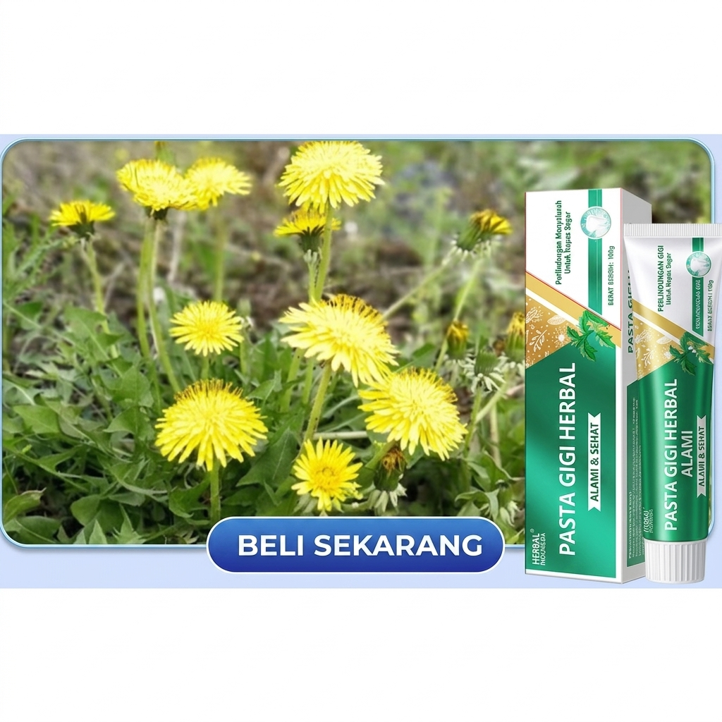 Yunnan Odol Gigi 100Gram Fresh Membersihkan Karang Gigi Pasta Gigi Pemutih Fresh White Toothpaste...