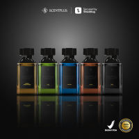 Scentplus Black Catalog Special All Variants Parfum