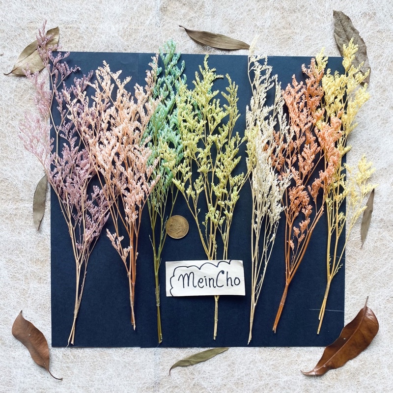 Bunga Kering Caspea Limonium Dried Flower Preserved Flower Aesthetic Dekorasi Rustik