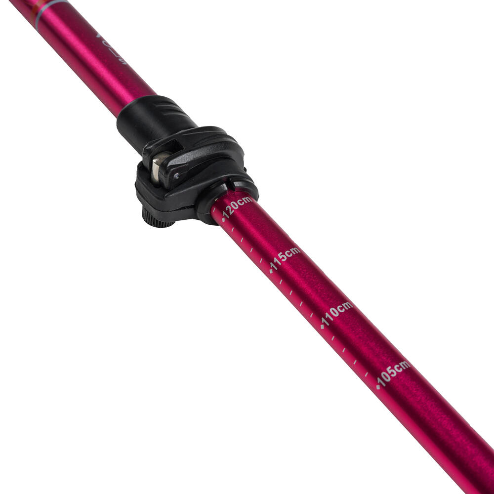 910009735 WS VALOR TREKKING POLE 1.0