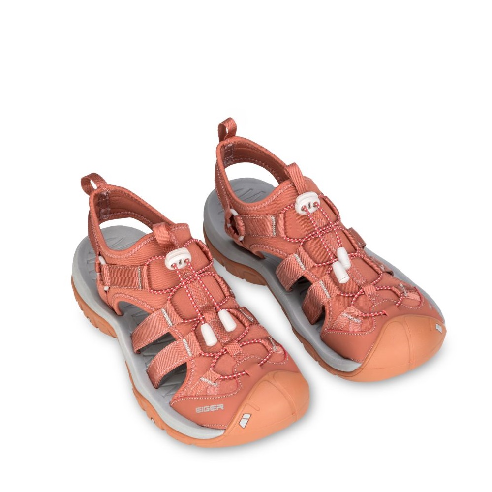 910008423 LACERTA WS