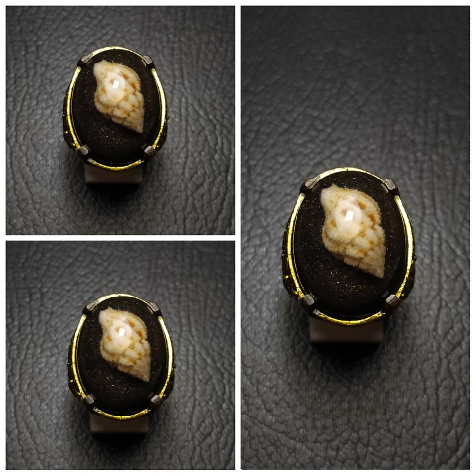 Batu Cincin Akik Fosil Keong Pongpongan batu cincin akik fosil keong pongpongan